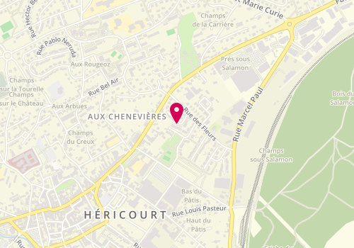 Plan de VERDIER David, 37 Rue Paul Verlaine, 70400 Héricourt