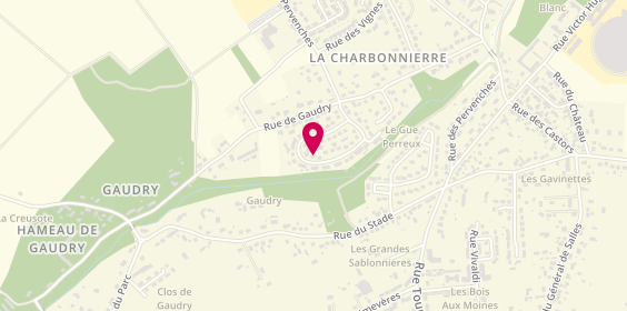 Plan de FESTIFDJ ANIMATION - THIGER Anthony Andre, 244 Rue des Pâquerettes, 45700 Pannes